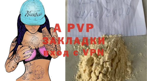 дурь Богданович